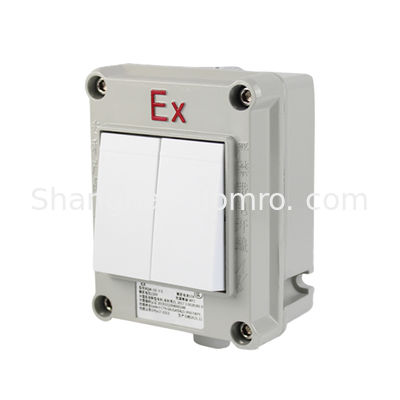 IP66 SW-10 Hazardous Location Water Proof On-off Light Switch Explosion Proof Switch