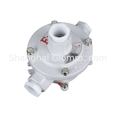 AH-IIB Type G Double Hanger Type Explosion-proof Junction Box, Exd IIB T6 IP65 Aluminum Alloy