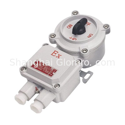 Explosion-Proof Transfer Switch 10A IP66 Waterproof Cam Switch for Chemical Oil Gas Hazardous Zone 1 Zone 2