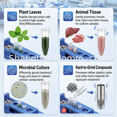 Laboratory High Throughput Tissue Grinder Homogenizer for Bone Hair Herb Soil Sample Crushing Homogenizing Processing