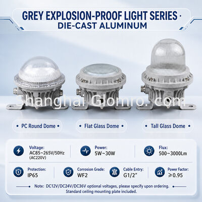 GLOMRO Heavy Duty Explosion Proof LED Area Light 30W SMD 3000Lm AC85V-265V for Petrochemical Plants