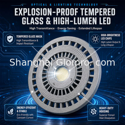 LED Explosion-Proof Light 20W/30W/40W/50W/60W/70W/80W/100W/120W IP66 Die-cast Aluminum Hazardous Location Lighting Multiple Power Options