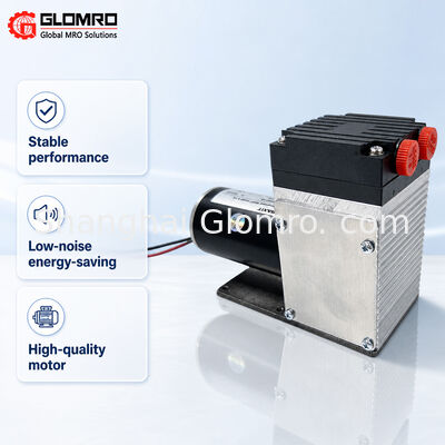 BAXIT PM33387-96 Corrosion Resistant Gas Sampling Pump DC24V Micro Diaphragm Pump for CEMS VOC Flue Gas Sampling