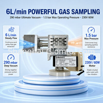 BAXIT NWGWB-89 High Temperature Diaphragm Sampling Pump Oil-free Vacuum Pump for CEMS Flue Gas VOC Monitoring
