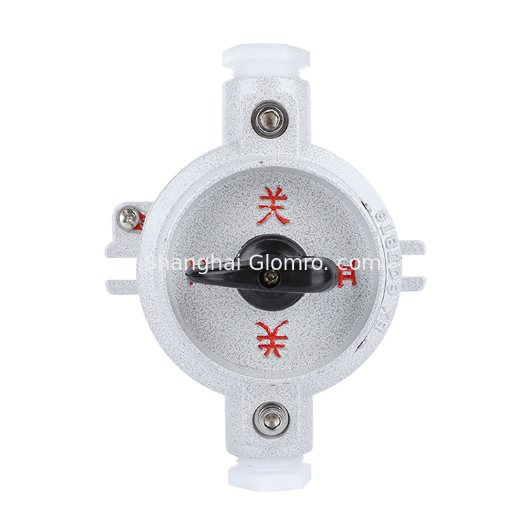 Exde IIC T5 Gb Explosion Proof Switch SW10 for Oil Gas Middle East IP65 10A Chemical Processing Marine and Offshore