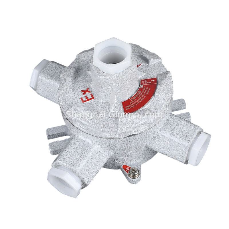 Explosion-proof and Dustproof Special AH-IIC Type H Triple Hanger Type Explosion-proof Threading Junction Box