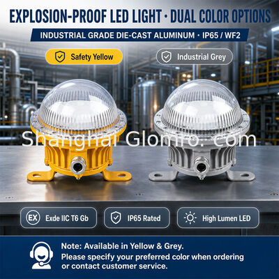 10W LED Patlama Kanıtı Yapılandırması IP65 WF2 Uzun Yaşam Süreci Endüstriyel Tehlikeli Alan Işığı