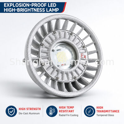 LED Patlamaya Dayanıklı Işık 20W/30W/40W/50W/60W/70W/80W/100W/120W IP66 Döküm Alüminyum Tehlikeli Alan Aydınlatması Çoklu Güç Seçenekleri
